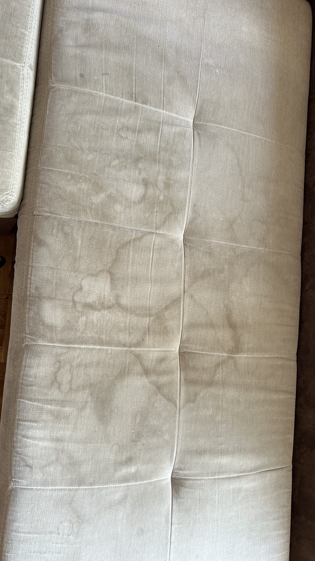 Before photo for Upholstery Cleaning