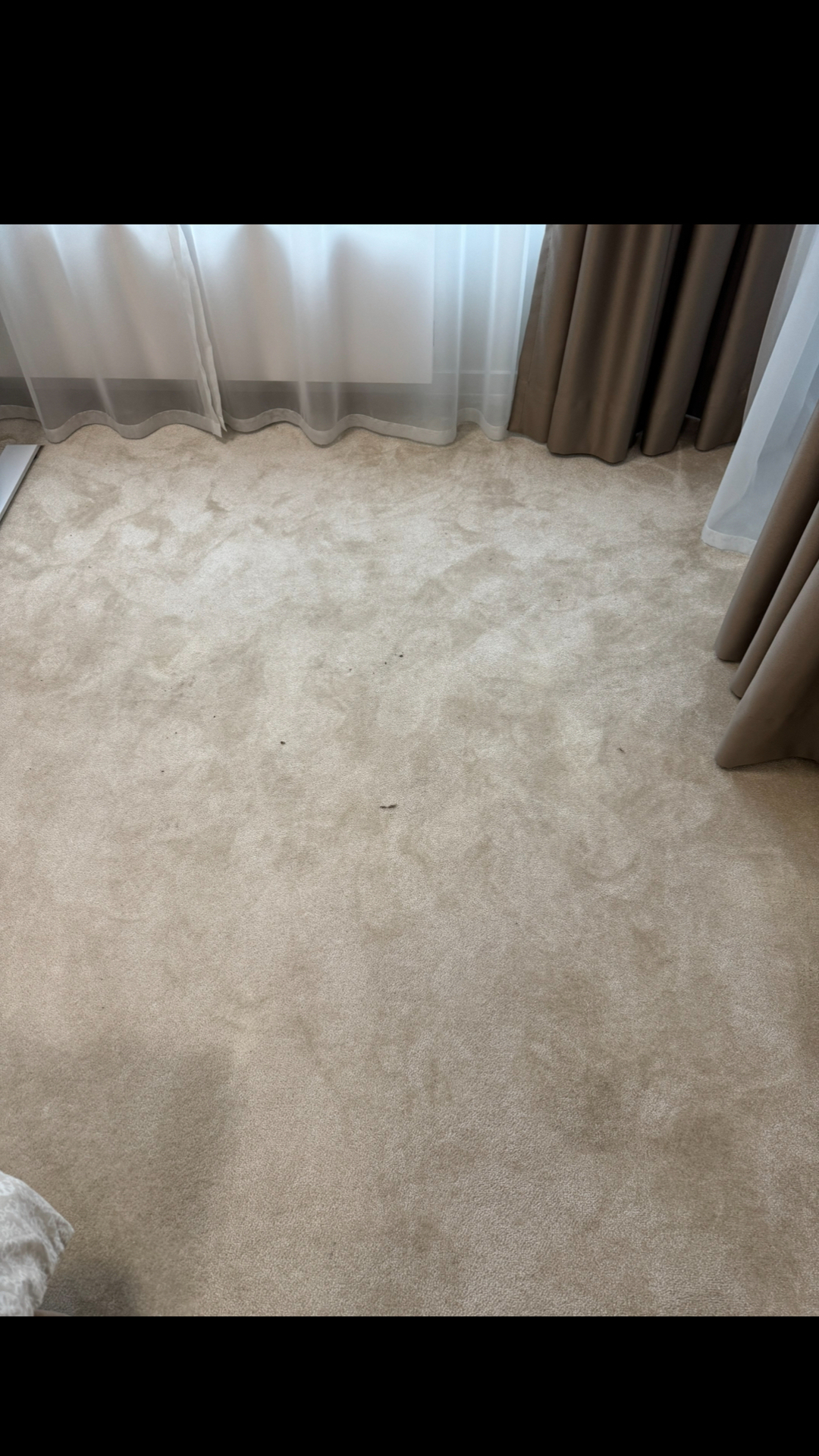 Before photo for Upholstery Cleaning