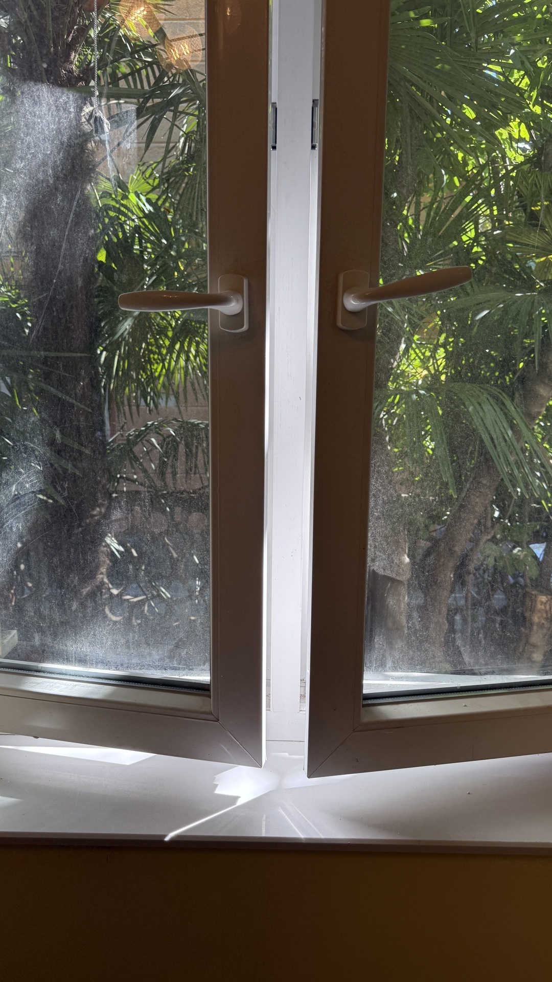 Before photo for Window Cleaning