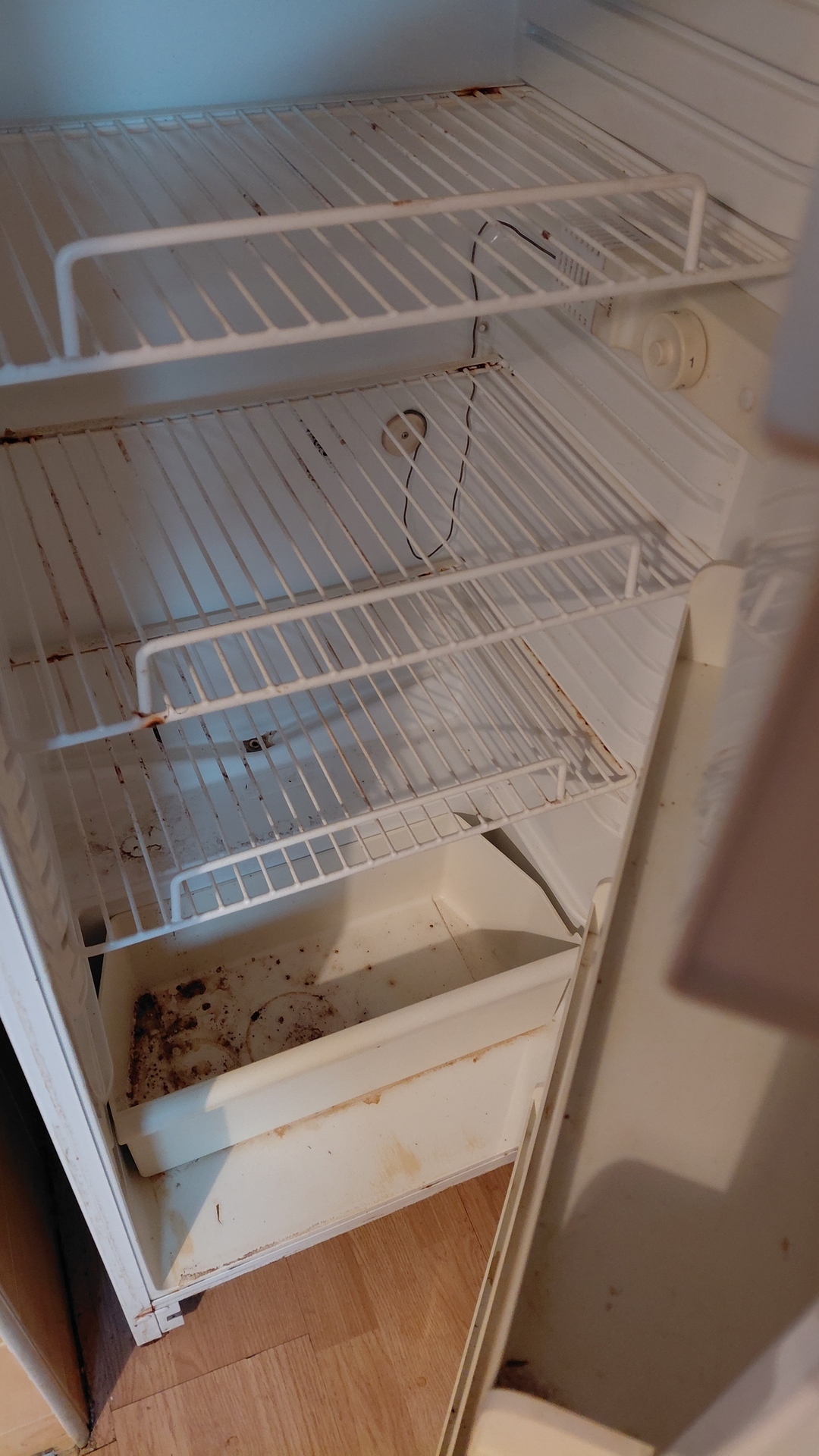 Before photo for Limpieza de horno