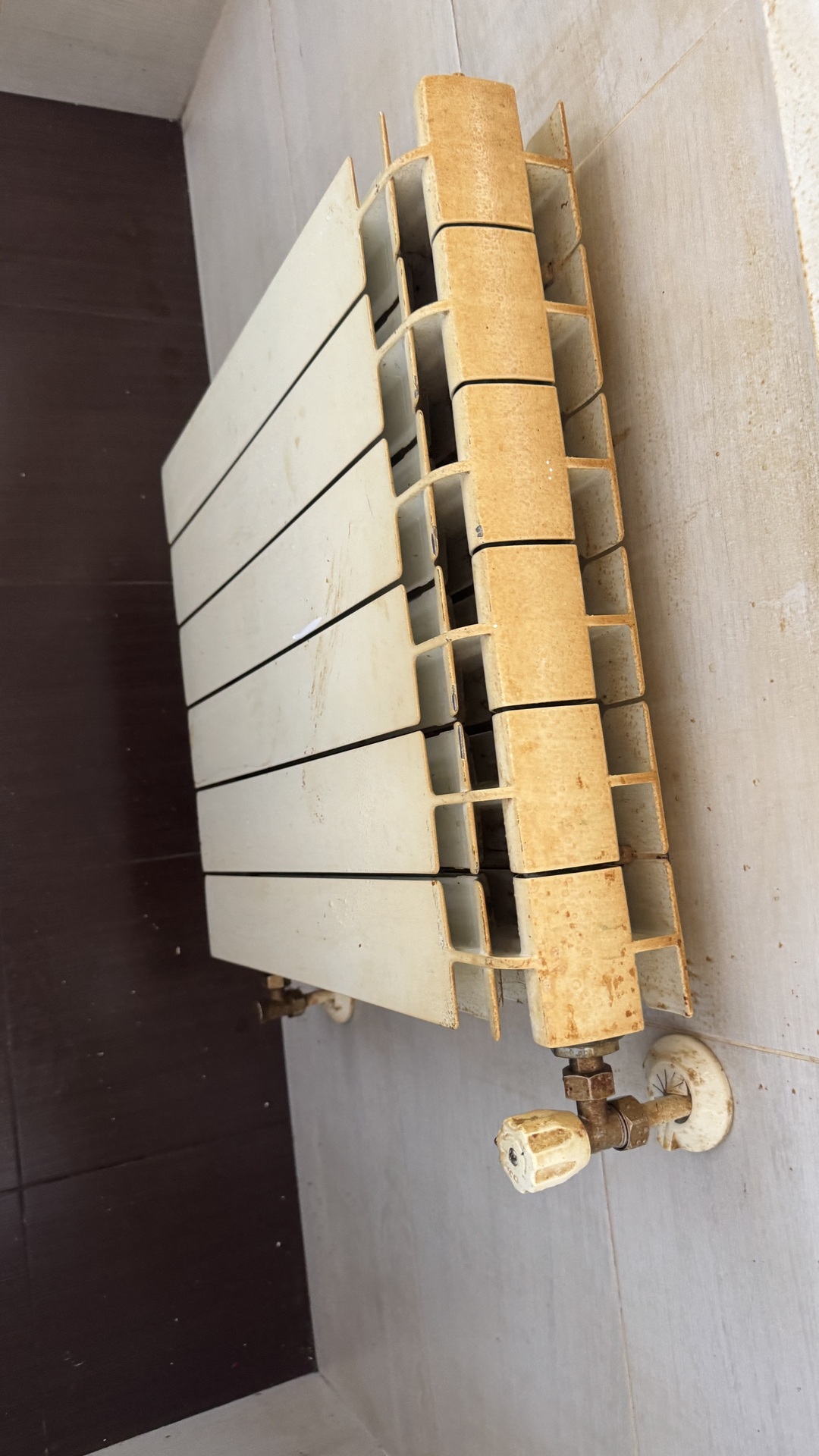 Before photo for Limpieza profunda