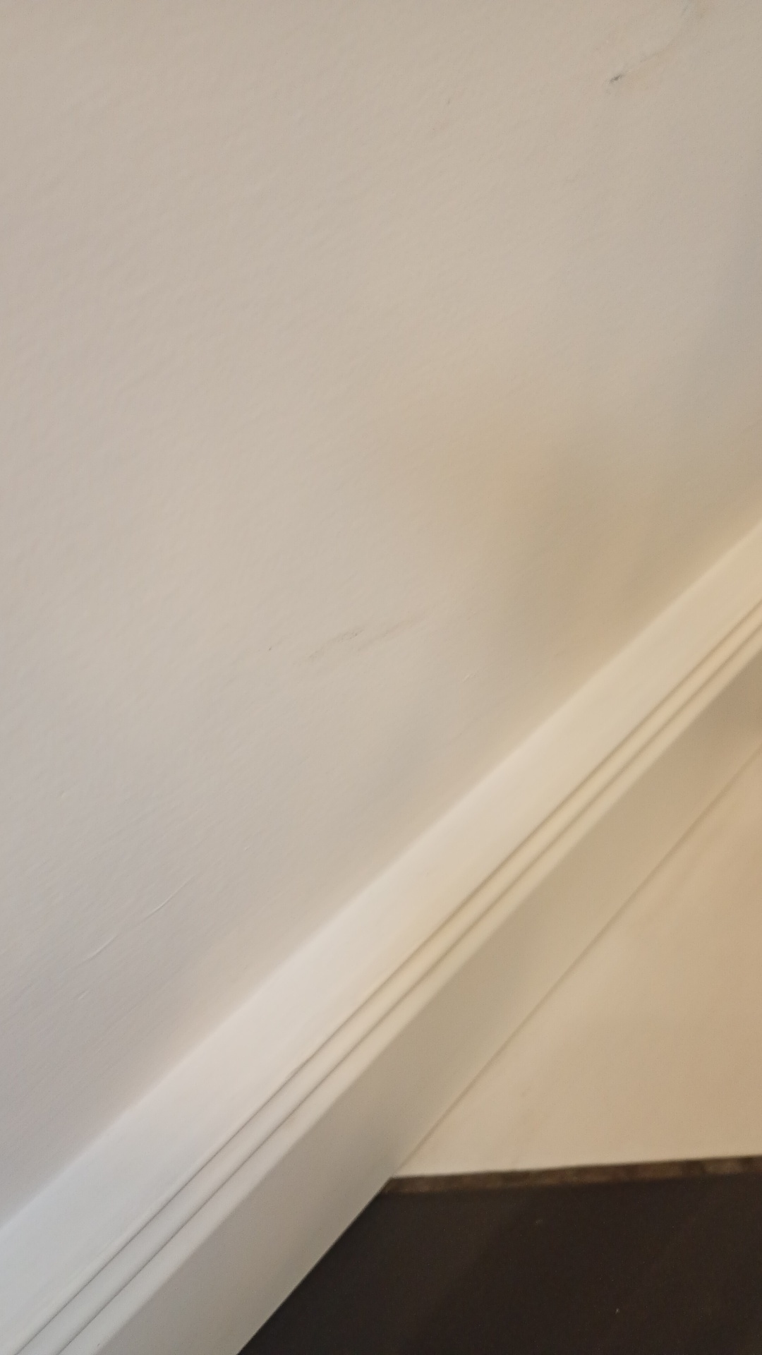 After photo for Limpieza profunda