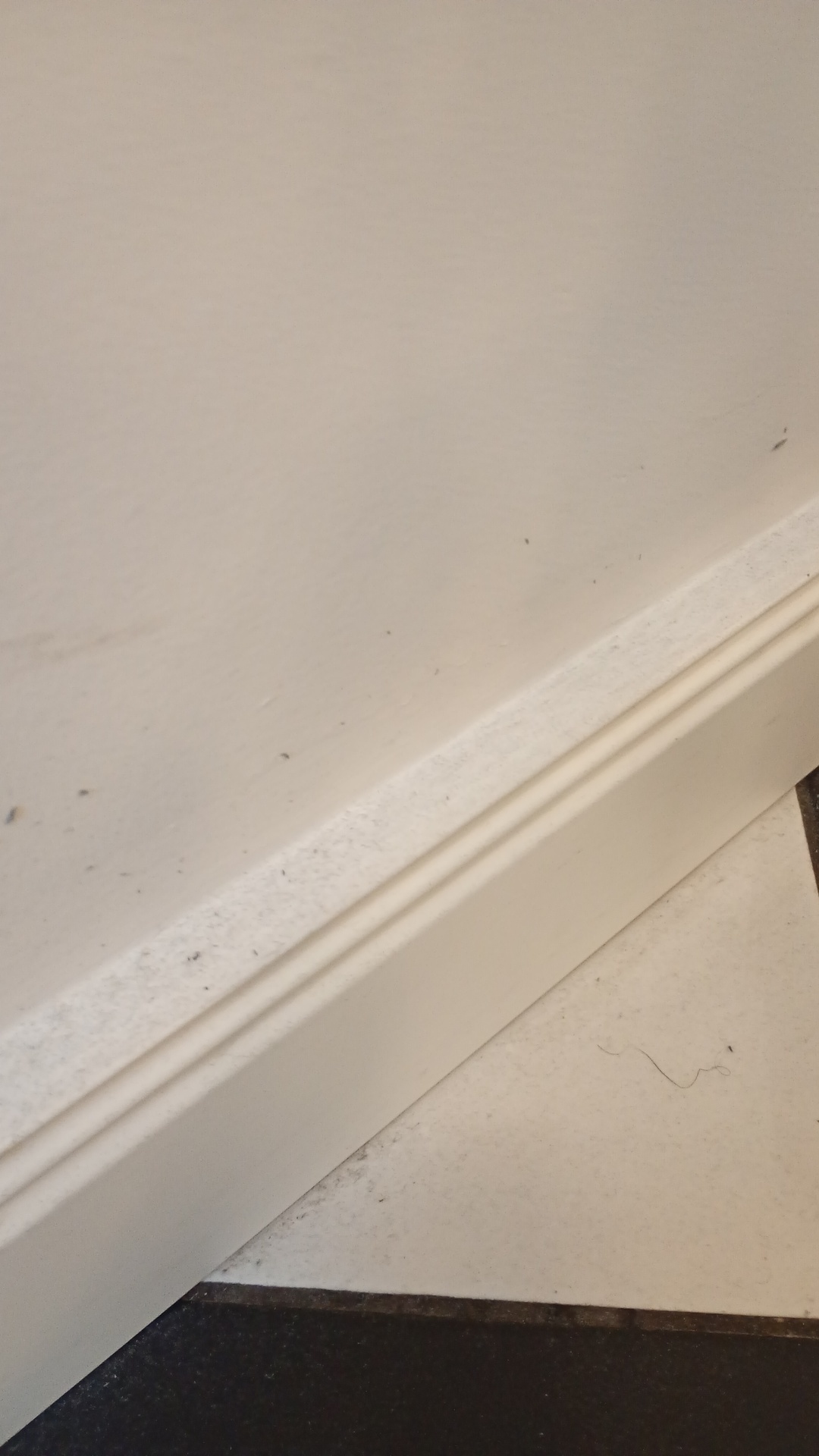 Before photo for Limpieza profunda