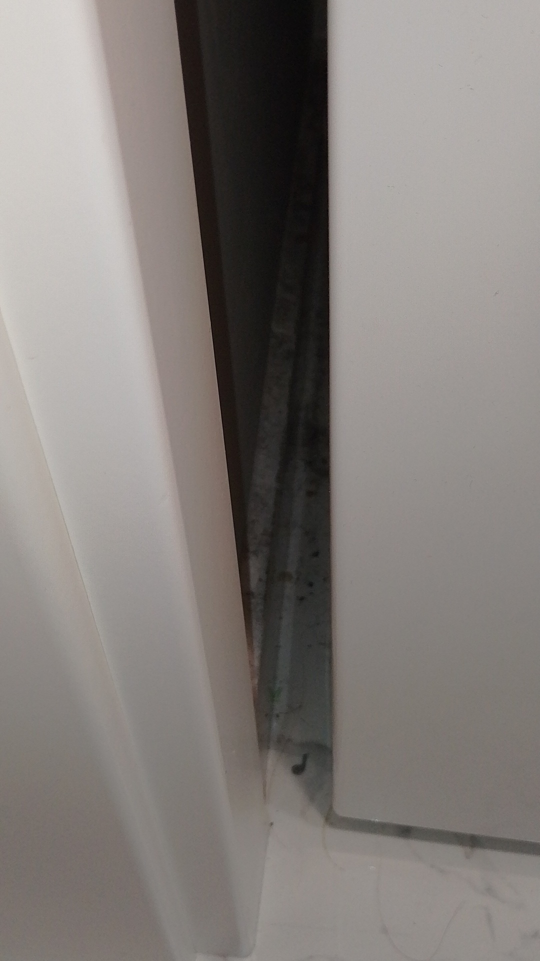 Before photo for Deep Cleaning