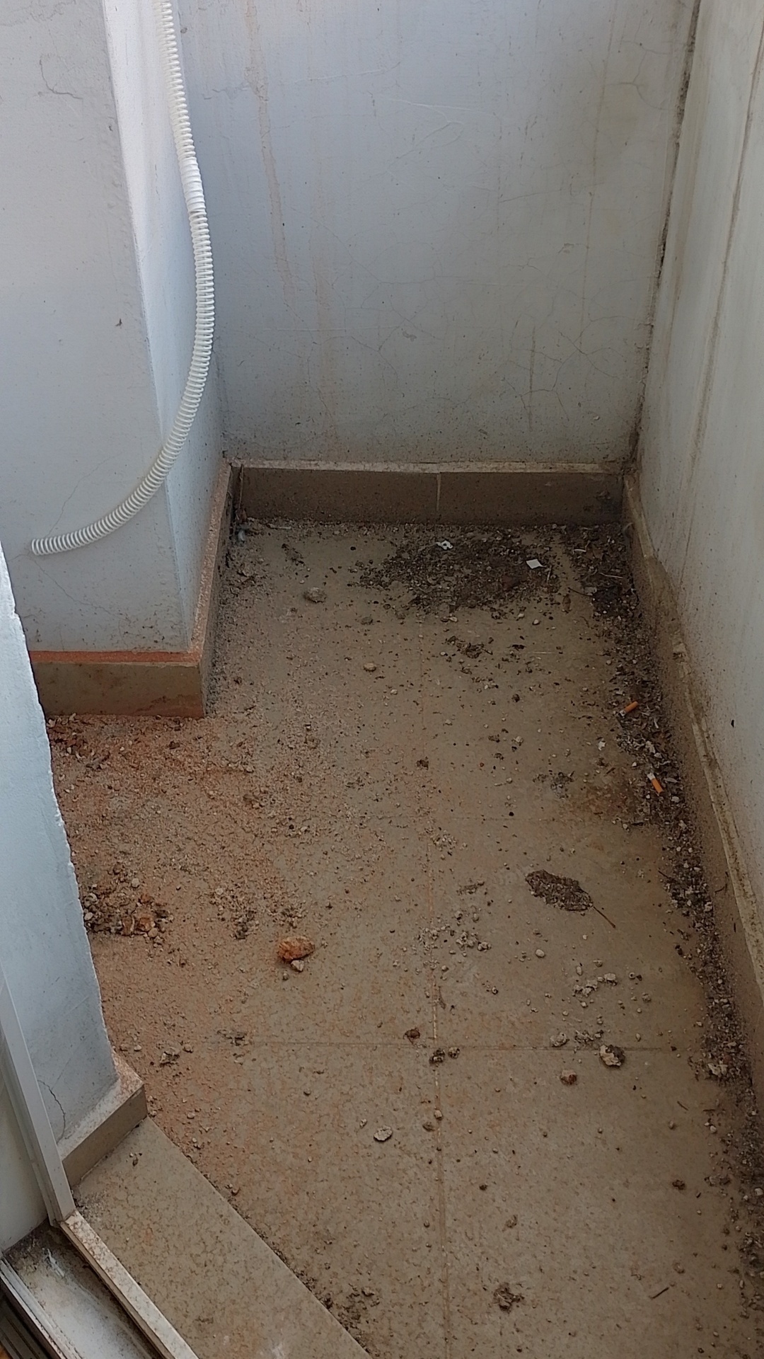 Before photo for Limpieza profunda