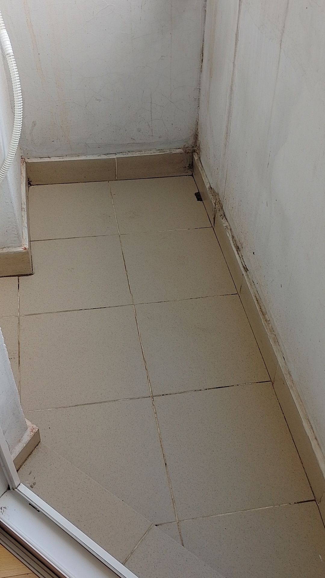 After photo for Limpieza profunda