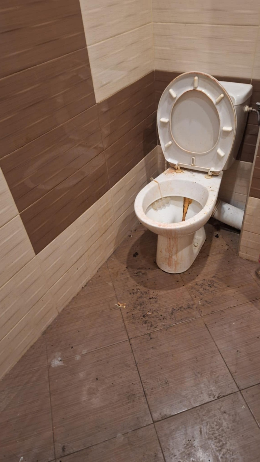 Before photo for Limpieza profunda