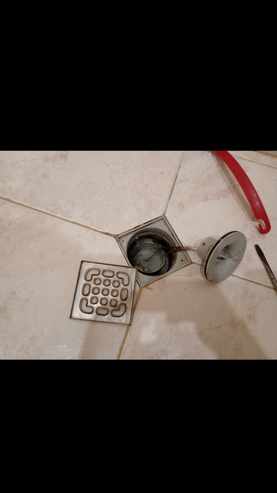 Before photo for Limpieza profunda