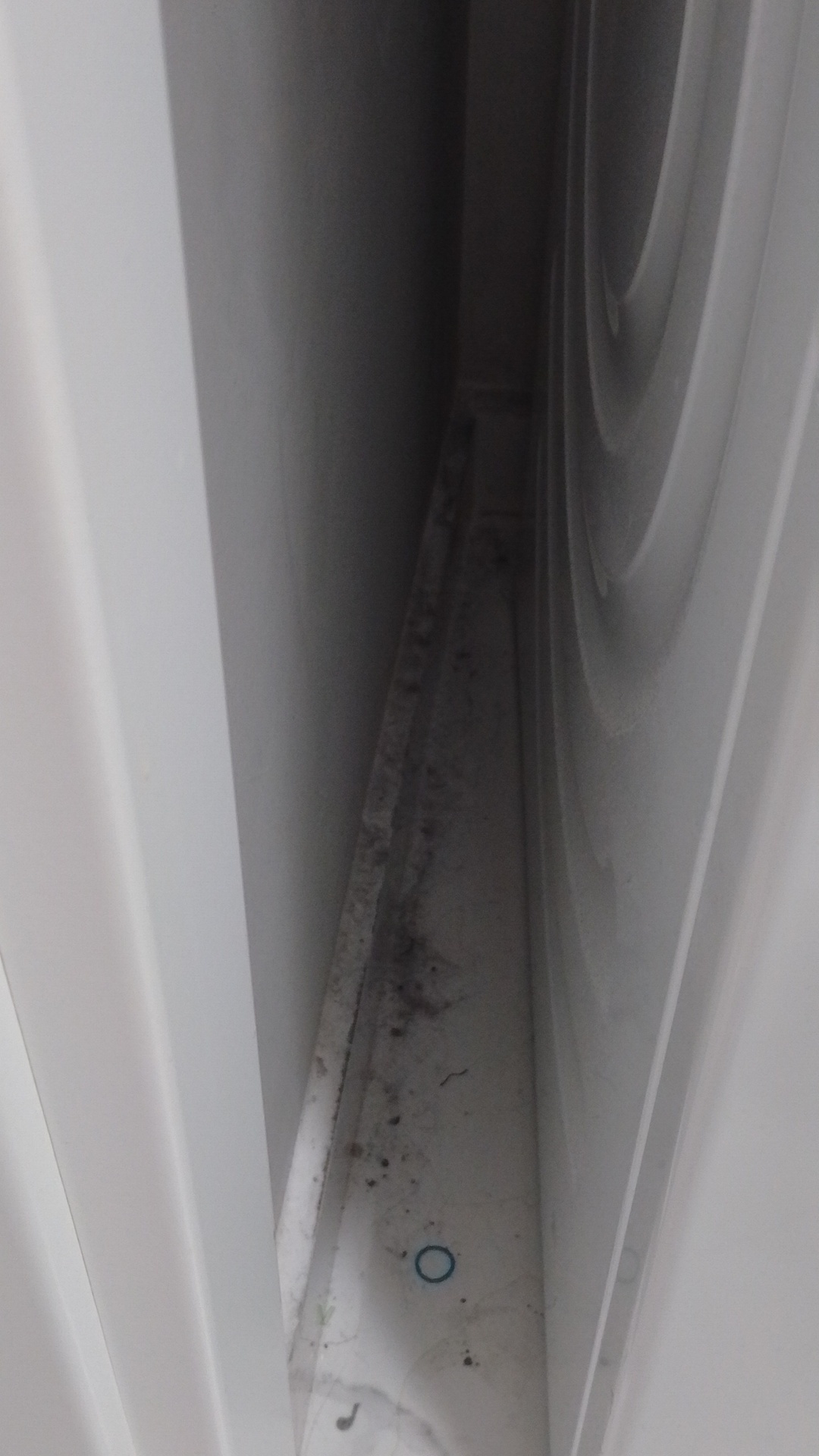 Before photo for Limpieza profunda