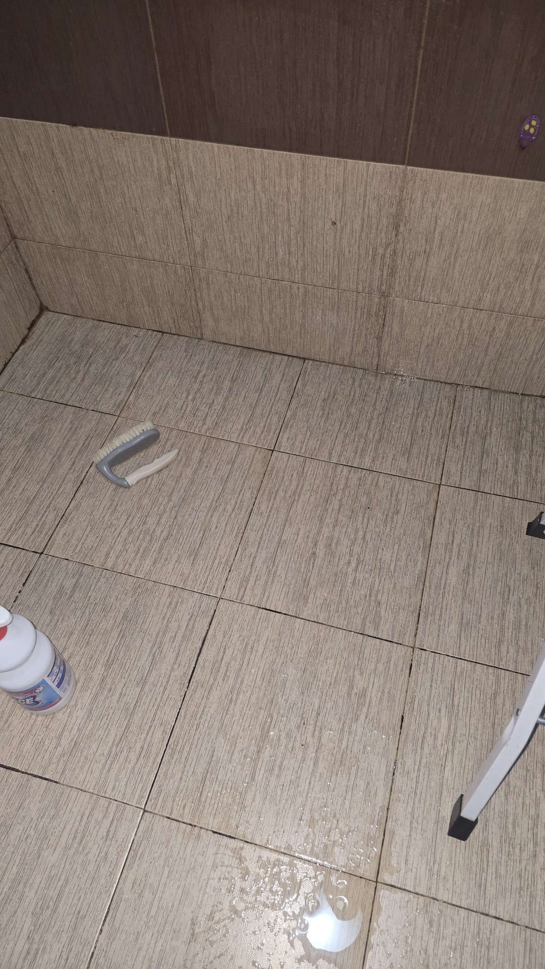 Before photo for Limpieza profunda