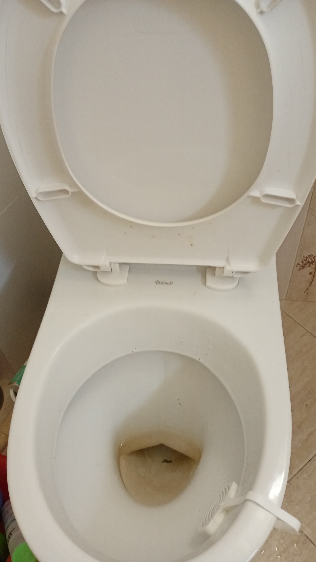 Before photo for Limpieza profunda