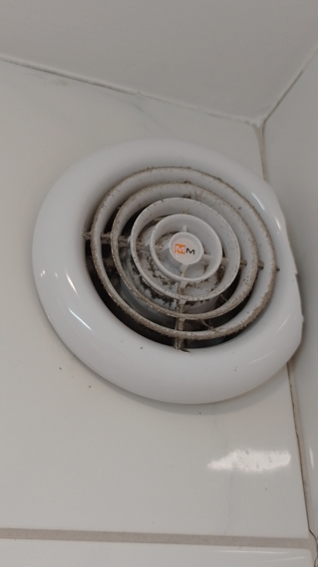 Before photo for Limpieza profunda