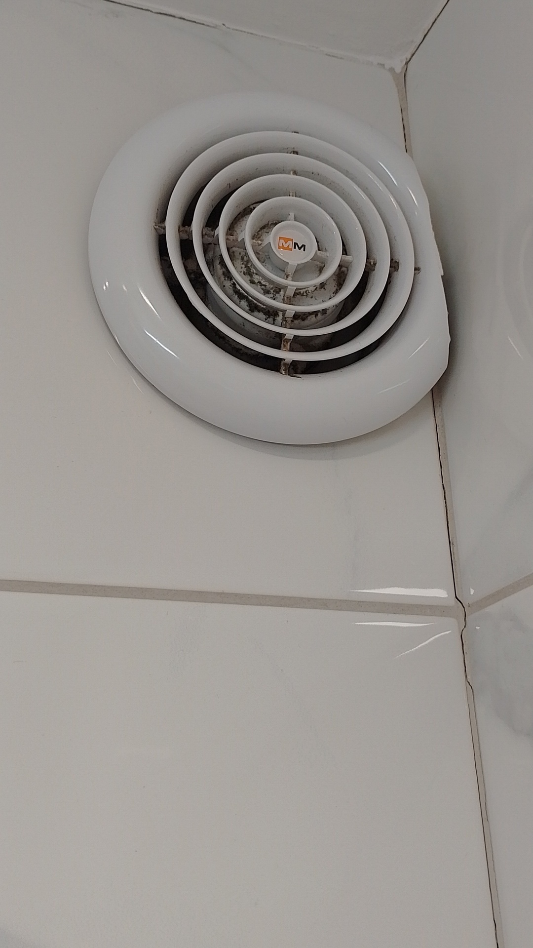 After photo for Limpieza profunda