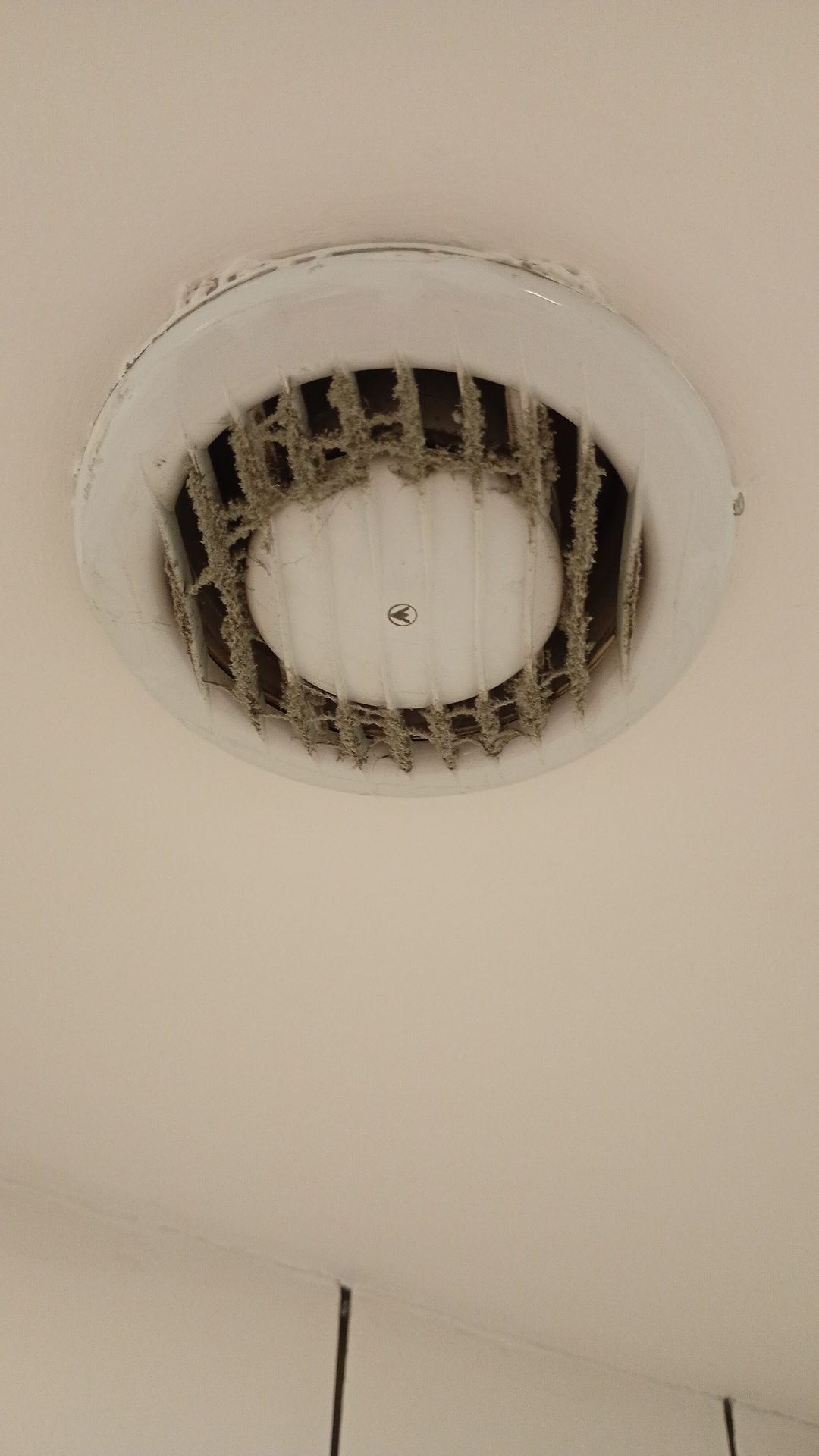 Before photo for Limpieza de baños